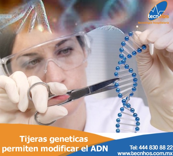 Cambios en el ADN de animales, plantas y microorganismos gracias a las «tijeras genéticas»
